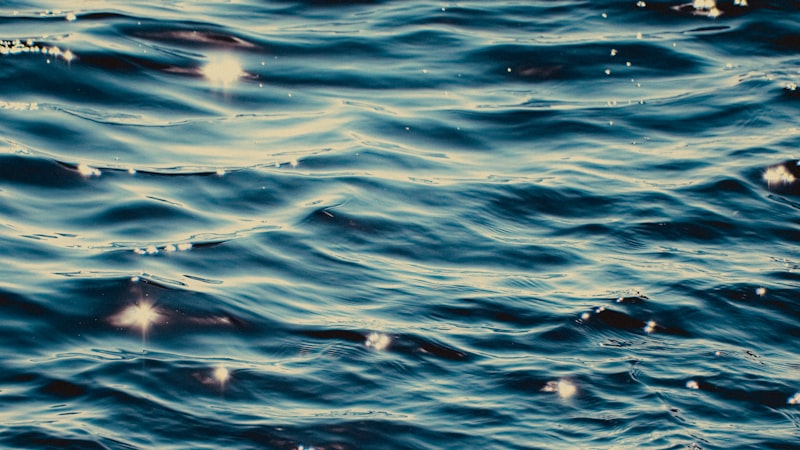 AI Must Not Fight Back